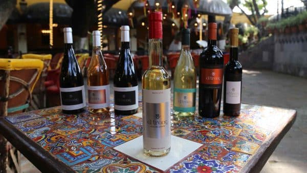 Introducción al mundo del vino